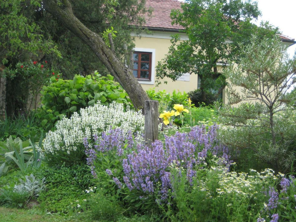 Bed and Breakfast Mala Kmetija Slovenske Konjice Exteriér fotografie