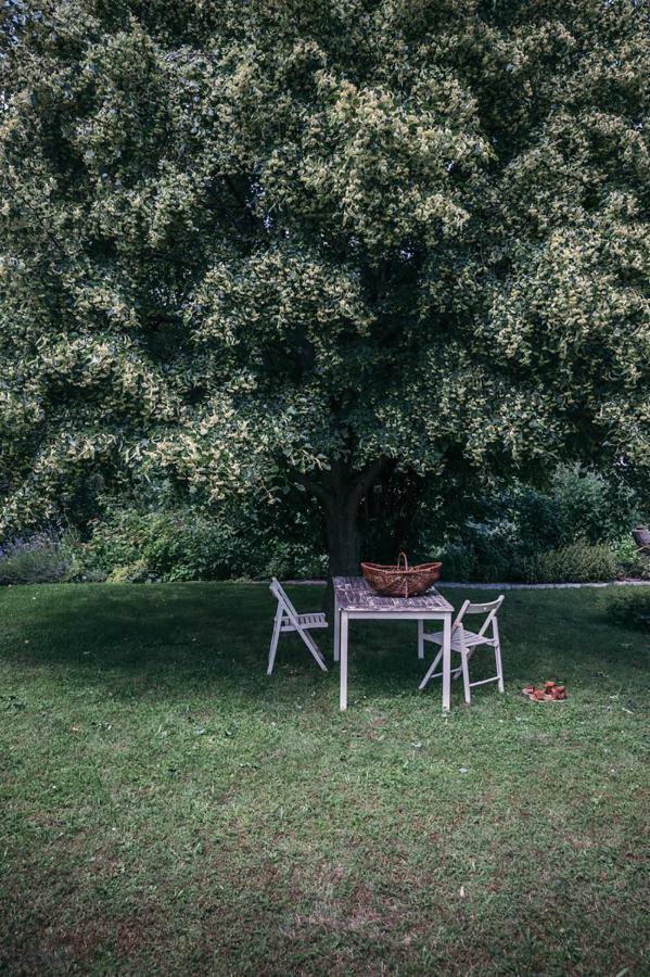 Bed and Breakfast Mala Kmetija Slovenske Konjice Exteriér fotografie