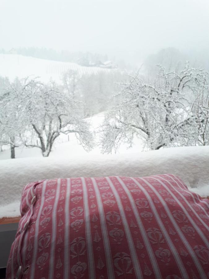 Bed and Breakfast Mala Kmetija Slovenske Konjice Exteriér fotografie